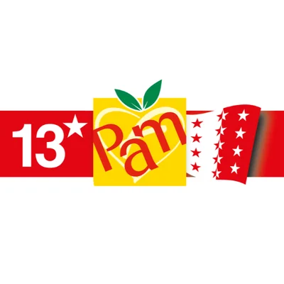 Logo 13* PAM Martigny-Bourg